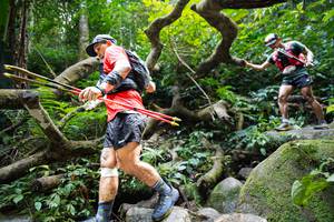 BIB: 
                            <button type="button" onclick="openModal(19408256)" class="btn btn-primary btn-sm float-right btn-popup" data-toggle="modal" data-target=".modal-high-quality">
                        <i class="fas fa-shopping-cart"></i> Add to Cart
                    </button>
                                            <button type="button" onclick="isThisMe(19408256, true)" class="btn btn-success btn-sm float-right btn-popup btn-isme hidden" data-toggle="tooltip" data-placement="bottom" title="นี่คือรูปของคุณใช่ไหม คลิกที่นี่เพื่อเอาเข้าอัลบั้ม">
                        <i class="fas fa-plus"></i> Add to album
                    </button>
                    <button type="button" onclick="isThisMe(19408256, false)" class="btn btn-warning btn-sm float-right btn-popup btn-isnotme hidden">
                        <i class="fas fa-ban"></i> Remove from album
                    </button>